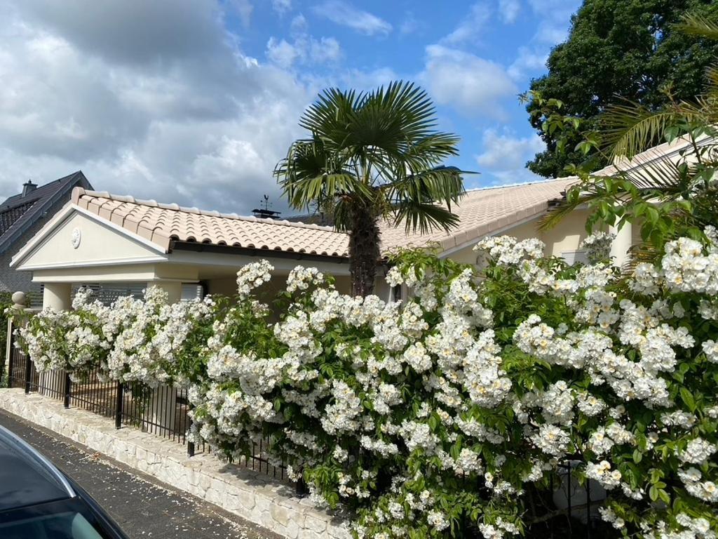 Wilsmann Apartmentvermietung Hövelhof Exterior foto