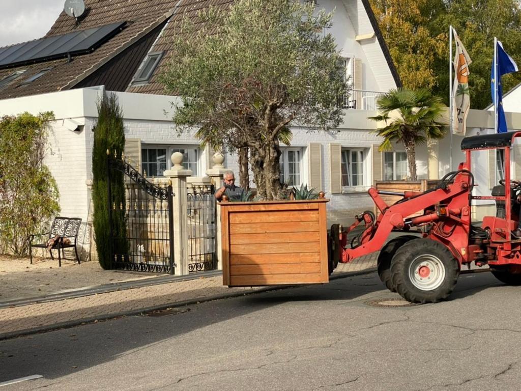 Wilsmann Apartmentvermietung Hövelhof Exterior foto